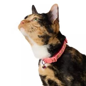 Whisker City Pink Exclusive Cheese Print Easy Release Adult Cat Collar NWT